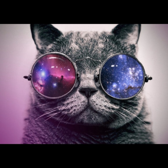 Meet your Posher, S_Cat - Picture 1 of 1